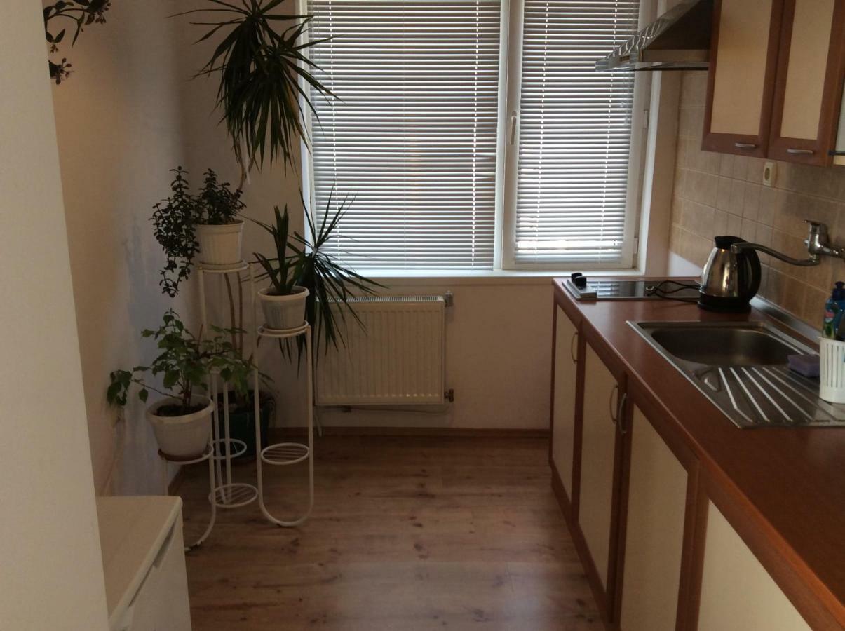 Guest House Simona 사파레바바냐 외부 사진